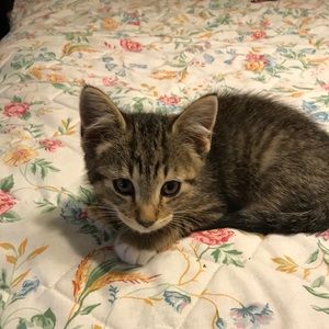 Meet your Posher, Charlene